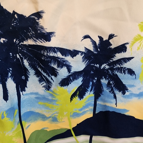 Men's swim trunks - Picture 3 of 6